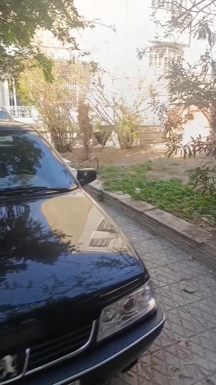 ۱۸۰ متر مستغل/مناسب مشاغل اداری و شرکتها (ستارخان)|اجارهٔ خانه و ویلا|تهران, حبیب الله|دیوار