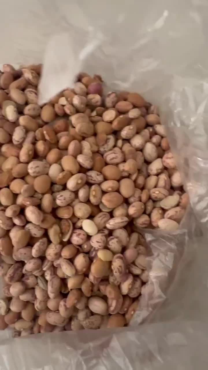 چیتی|خوردنی و آشامیدنی|الیگودرز, |دیوار