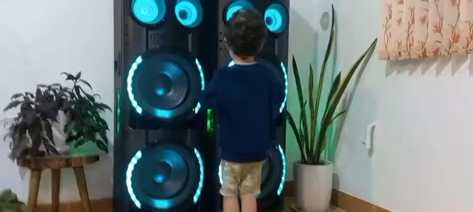 اسپیکر میکرولب|سیستم صوتی خانگی|همدان, |دیوار