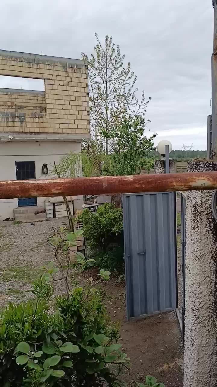 فروش گلخانه|فروش دفتر صنعتی، کشاورزی، تجاری|عباسآباد, |دیوار