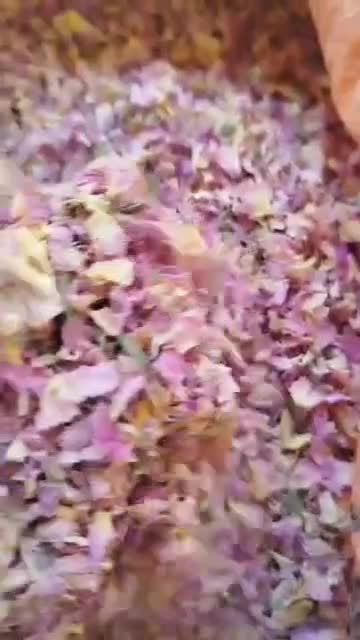 پر گل محمدی|خوردنی و آشامیدنی|شیراز, طلاب|دیوار