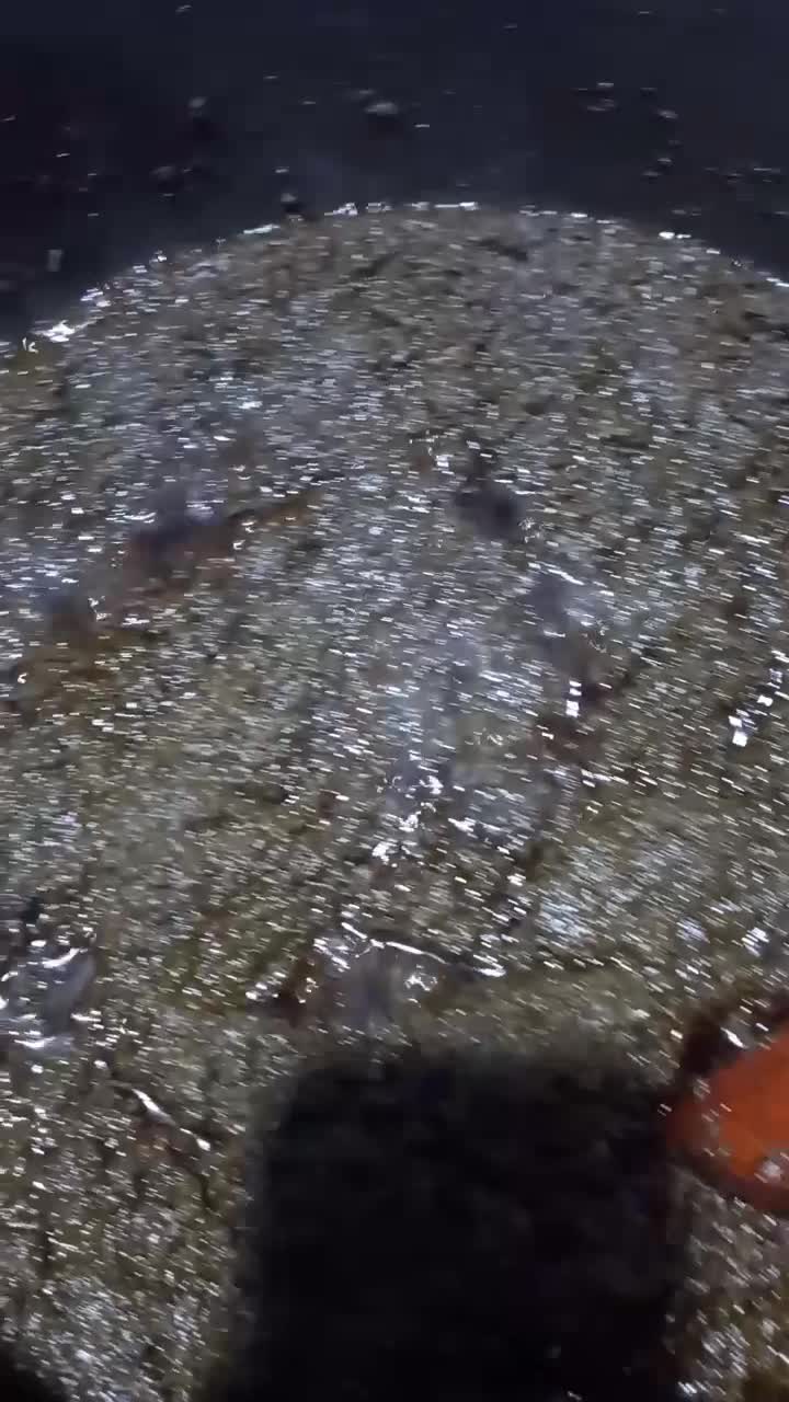 سبزی قرمه و ترش واش،پیاز سرخ کرده،دلار|خوردنی و آشامیدنی|لاهیجان, لاشیدان|دیوار