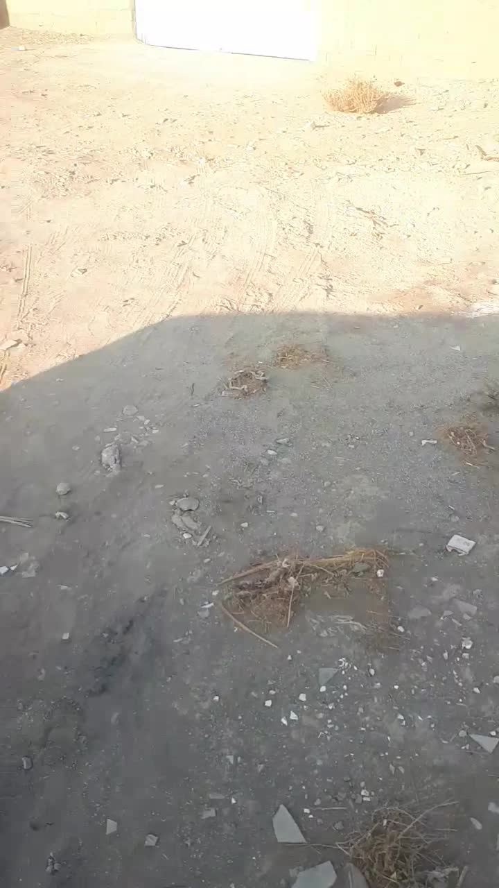 فروش یک قطعه زمین مسکونی|فروش زمین و ملک کلنگی|محمدشهر, جعفرآباد|دیوار