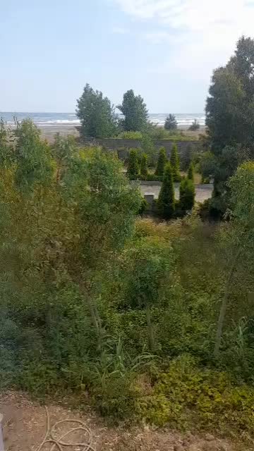 زمین ساحلی شهرکی ۲۰۰ متری ویو ابدی نگهبانی ۲۴ س|فروش زمین و ملک کلنگی|رودبنه, |دیوار