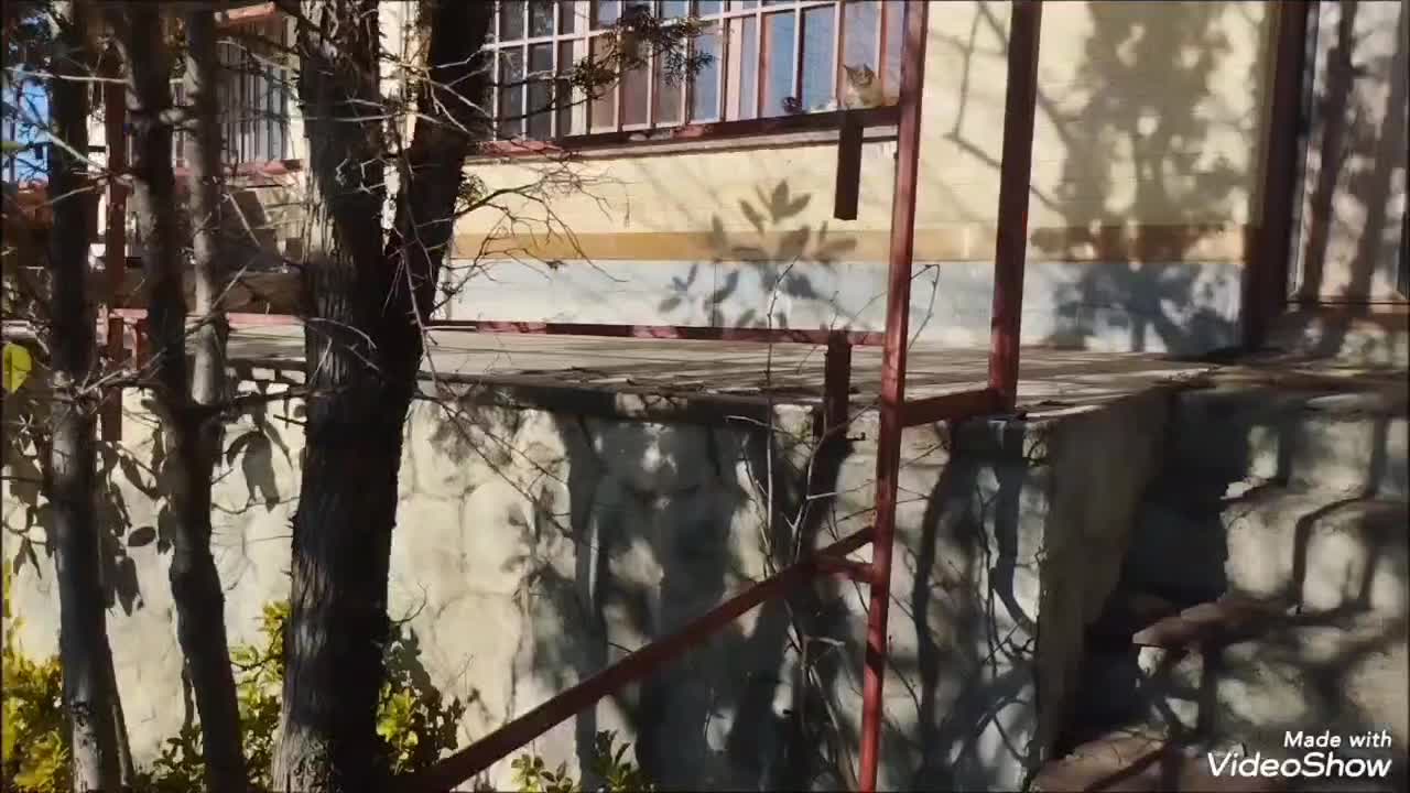 اجاره ویلا شهرکی مبله مخصوص خانواده ۴ نفری|اجارهٔ خانه و ویلا|کلاردشت, |دیوار