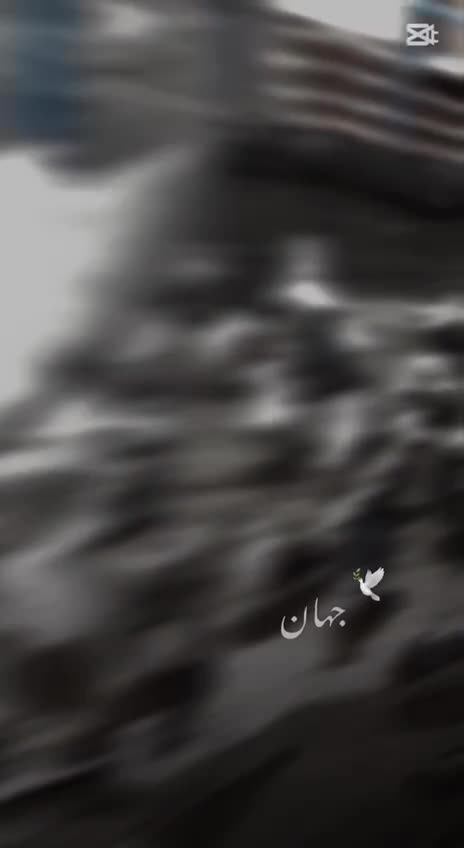 کفتر گرو دهنجور ضمانتی|پرنده|تهران, سلسبیل جنوبی|دیوار