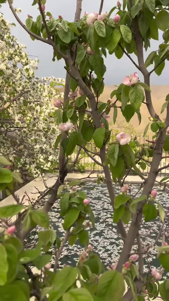 ویلای ۲طبقه لوکس با سند تک‌برگ منطقه ۵ تهران|فروش خانه و ویلا|تهران, کن|دیوار