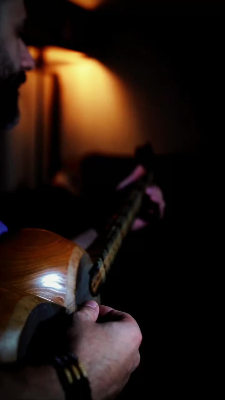 تار حرفه ای با مهر محسن بحیرائی ۵۰ میلیون|سازهای سنتی|تهران, استقلال|دیوار