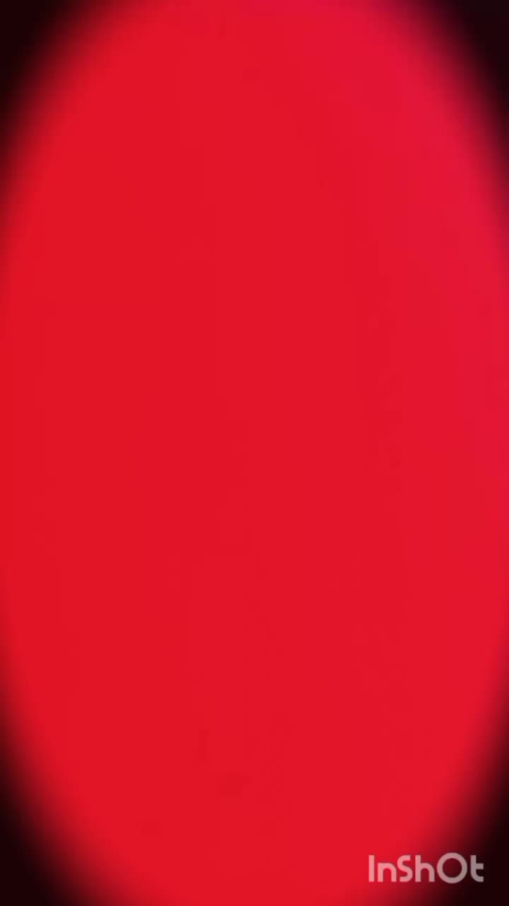 بنلی 180|موتورسیکلت|تربت‌حیدریه, پائین ولایت|دیوار