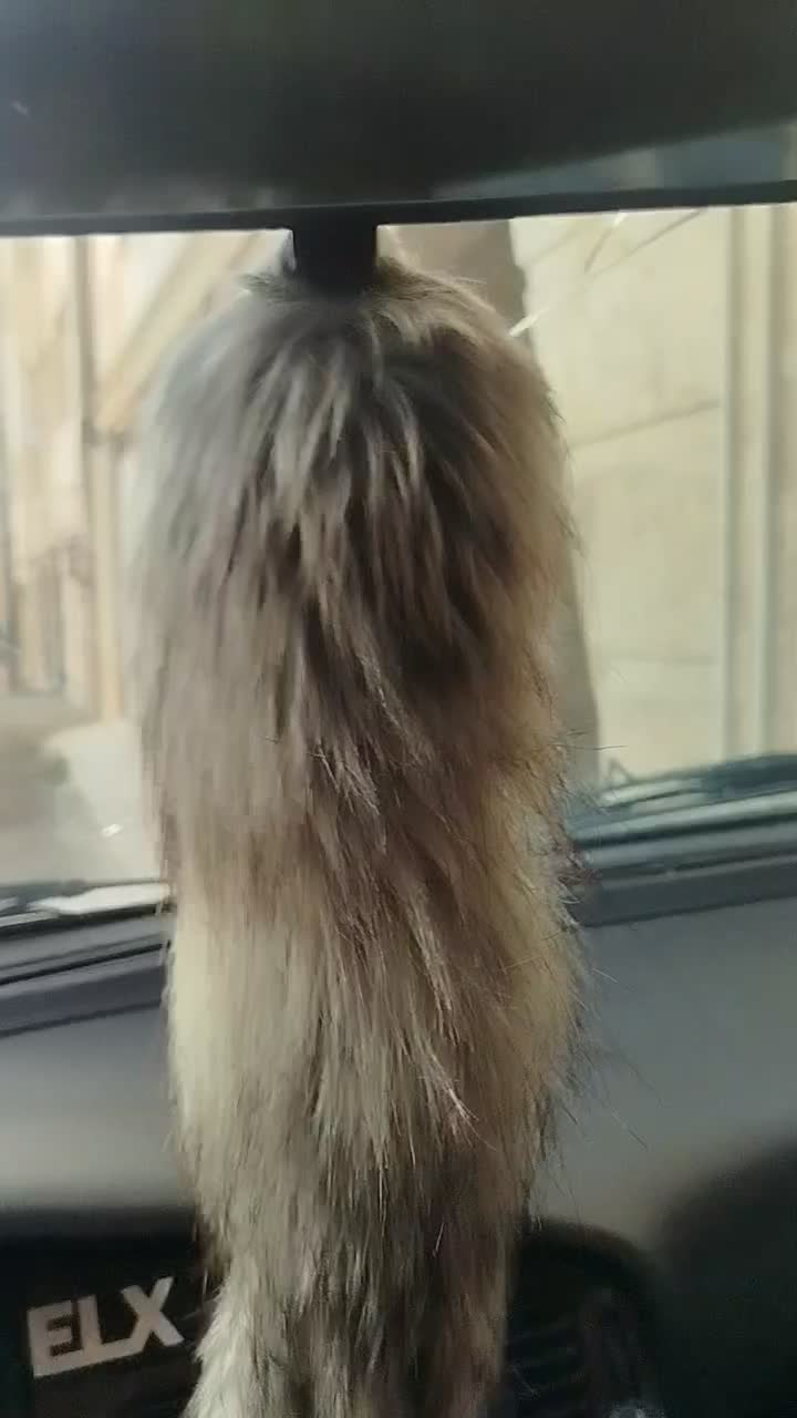 میدرنج|سیستم صوتی خانگی|اردبیل, |دیوار