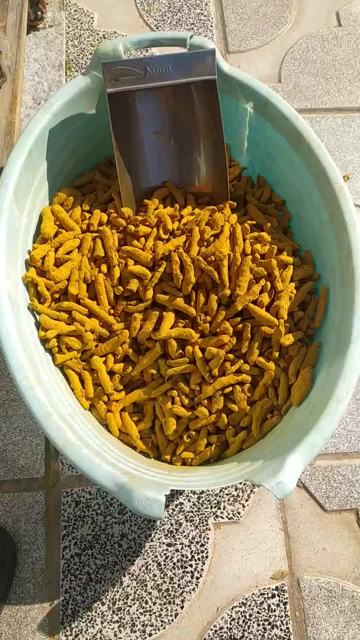 زردچوبه مارک توبک طلایی ونجمه(کلی وجزئی)|خوردنی و آشامیدنی|بیرجند, |دیوار