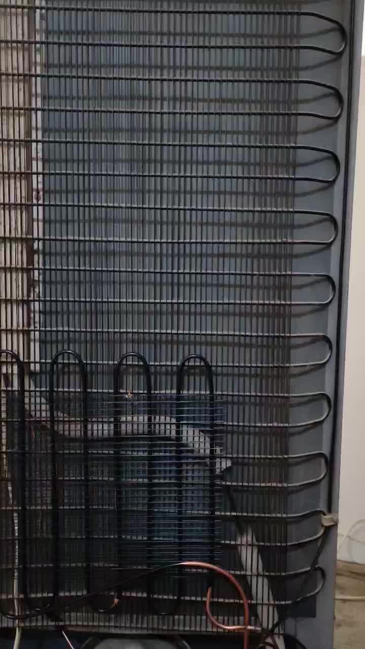 یخچال سازی.یخچال خانگی.مغازه باضمانت کار یکساله|خدمات پیشه و مهارت|زابل, |دیوار