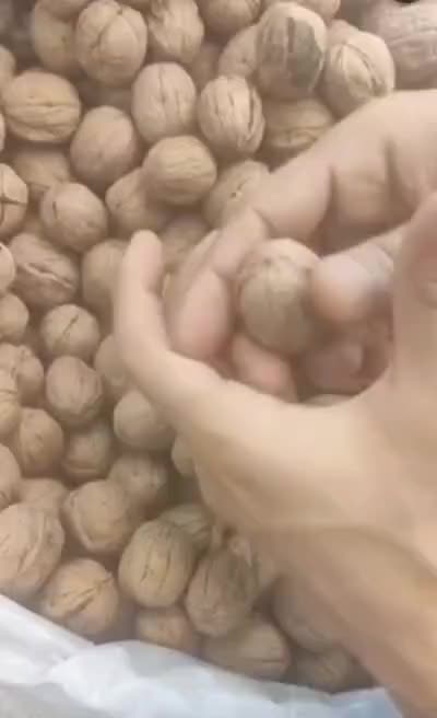 اجیل وخشکبار گردو|خوردنی و آشامیدنی|اهواز, پردیس دو|دیوار