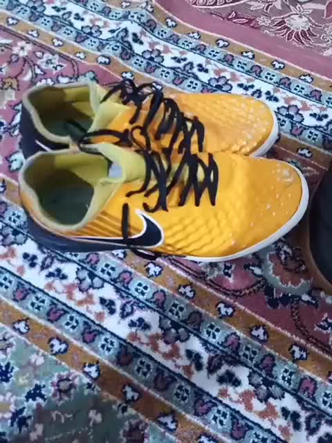 کفش سالن|کیف، کفش، کمربند|شاهین دژ, |دیوار