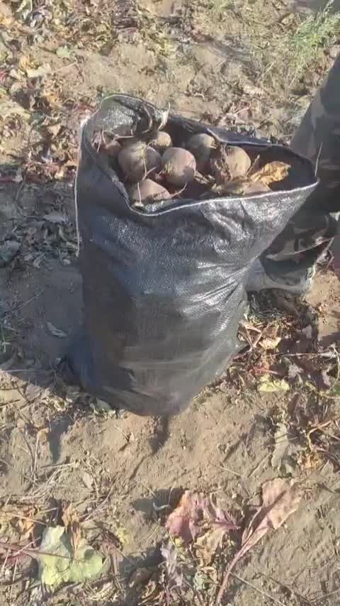 لبو شیریت سرت شده بدون ایراد|خوردنی و آشامیدنی|ارشق, |دیوار