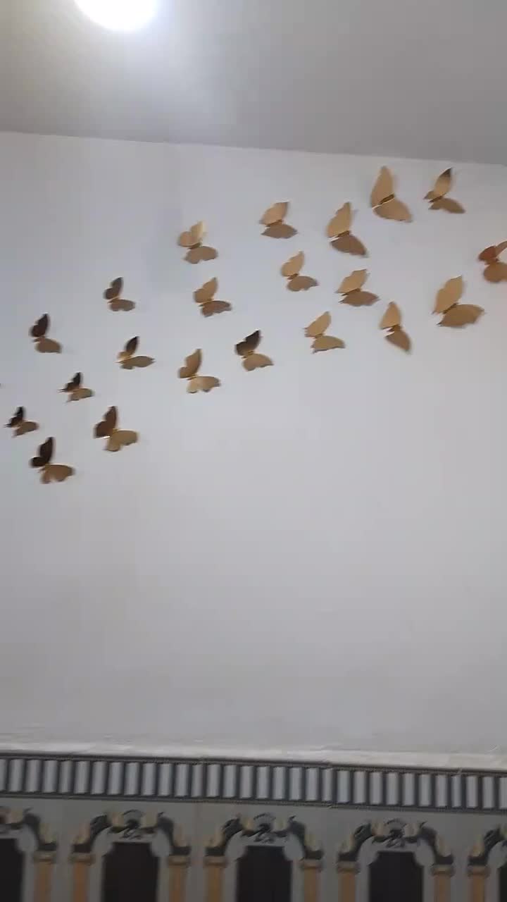 تابلو و پروانه تزیینی همراه با تابلو|تابلو، نقاشی، عکس|بندر ماهشهر, |دیوار