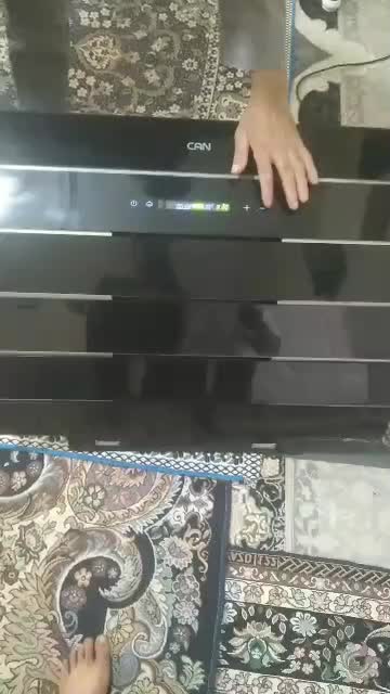 هود|هود|بهارستان, |دیوار