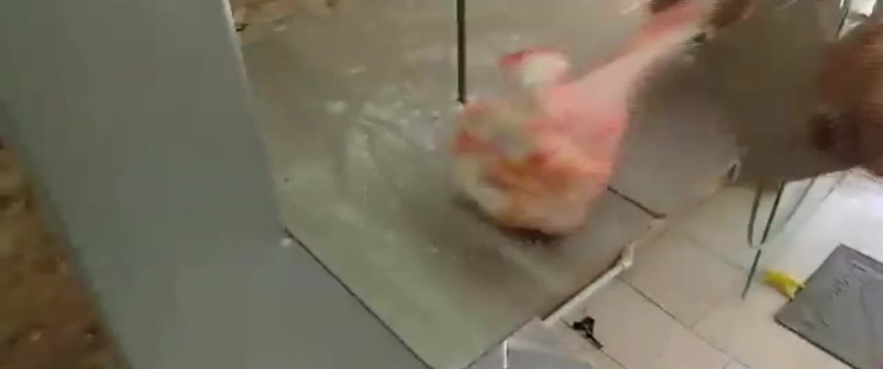 تیغ اره استخوان بر ماهی بر گوشت بر اهن بر|خدمات پیشه و مهارت|محمدشهر, شهرک چمران|دیوار