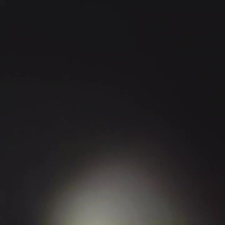 ساعت زنانه شکیل نو هدیه ای لوکس|ساعت|شیروان (خراسان), |دیوار