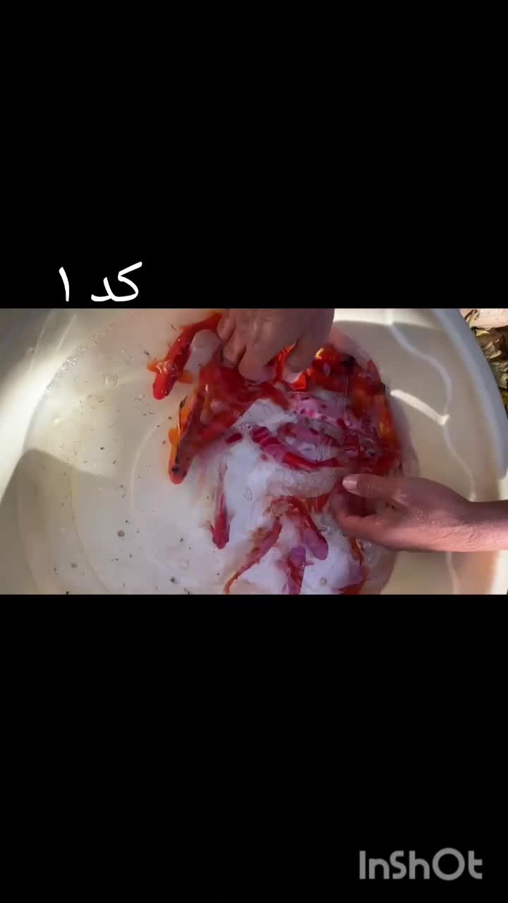 ماهی عید|ماهی|اسفراین, |دیوار