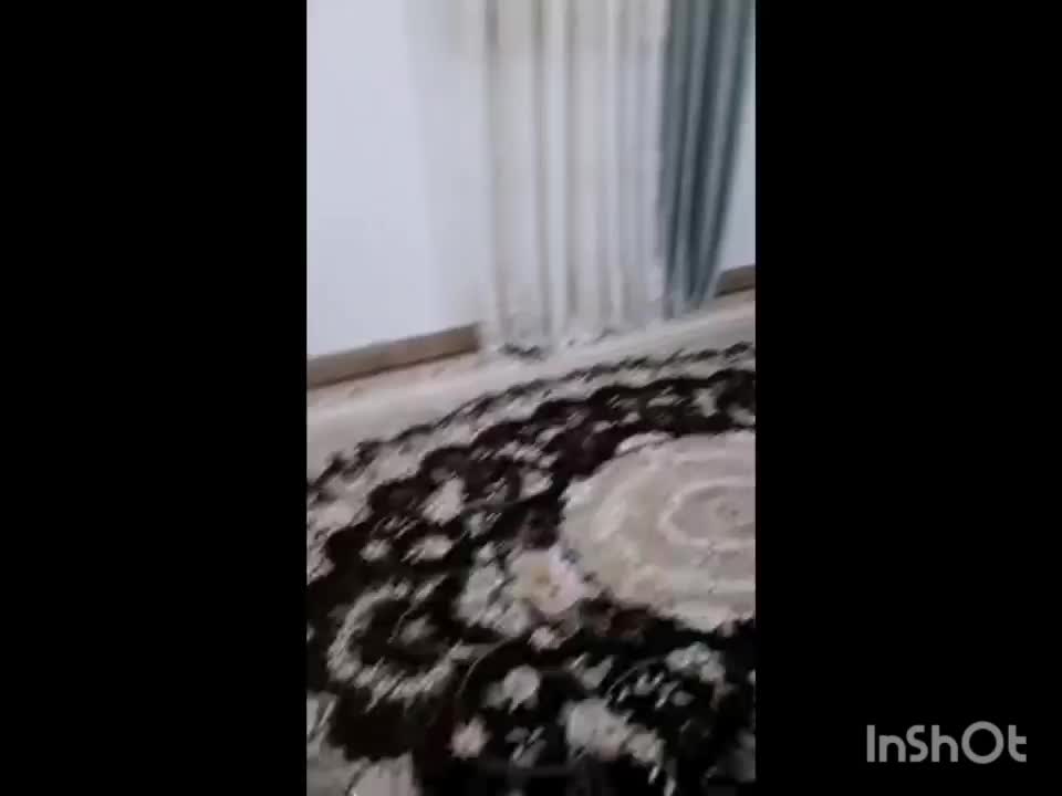 طبقه ی بالا،گل رزمندگان|فروش آپارتمان|دوگنبدان, |دیوار