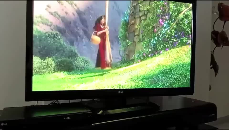 DVD PLAYER LG DP542|پخشکننده DVD و ویدیو|تهران, جنتآباد شمالی|دیوار