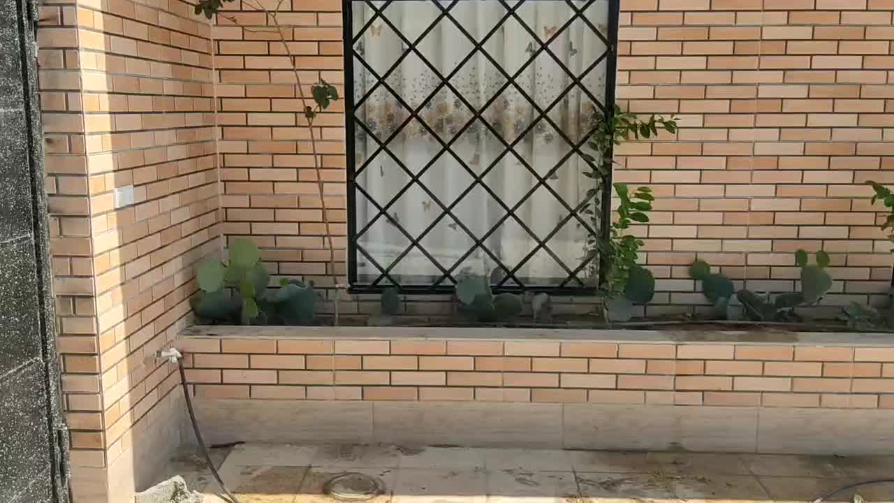 باغ لاکچری و نقلی با امکانات قیمت مناسب|فروش خانه و ویلا|نجف‌آباد, شهید رجایی|دیوار