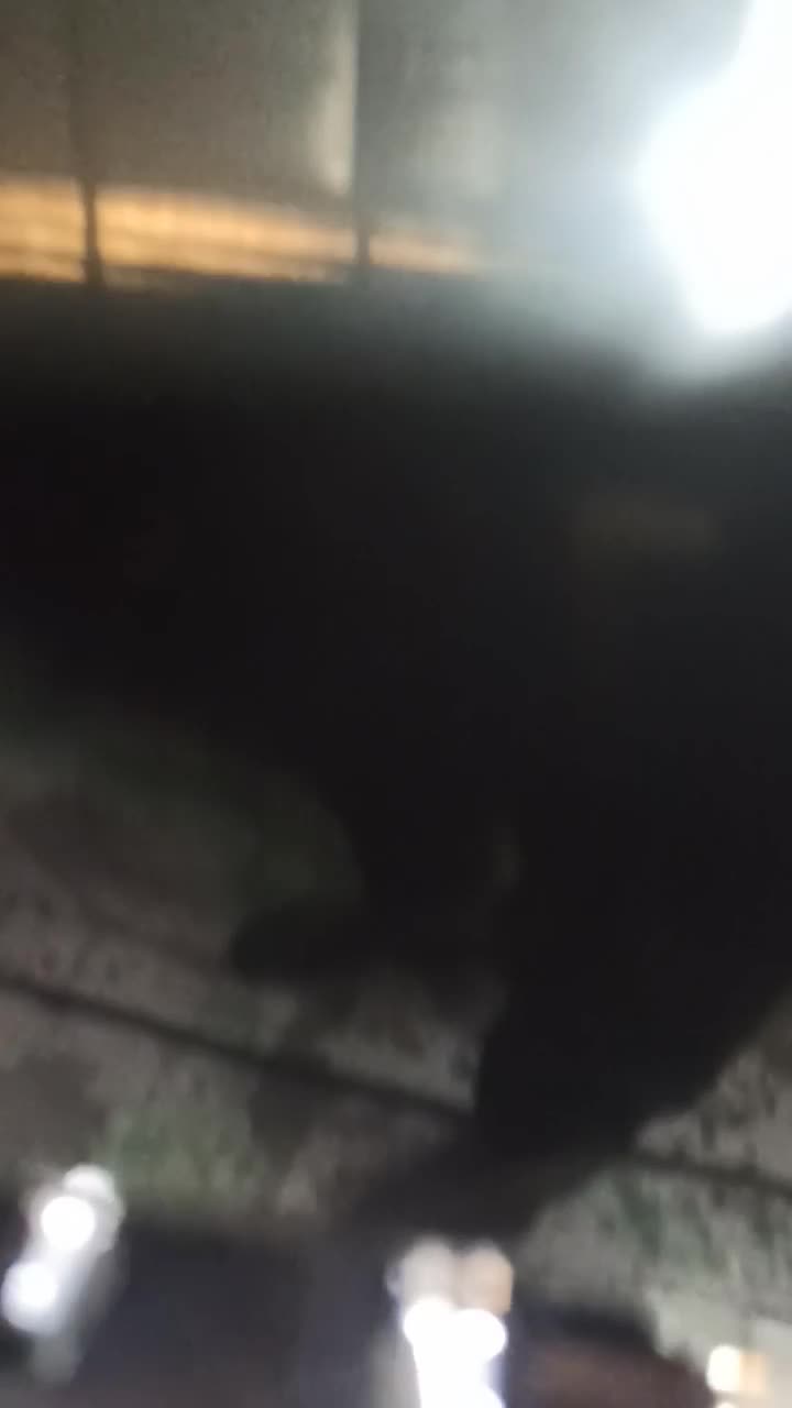 خدمات خودرویی .تعمیر در محل شما|خدمات موتور و ماشین|پرند, فاز ۶|دیوار