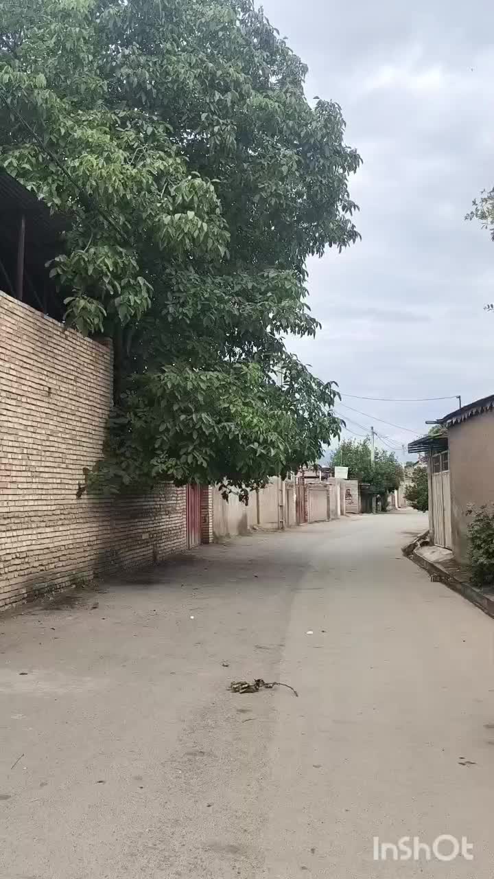 فوری زمین شکاری به متراژ ۳۰۰ متر واقع در فاضل آباد|فروش زمین و ملک کلنگی|فاضل آباد, |دیوار