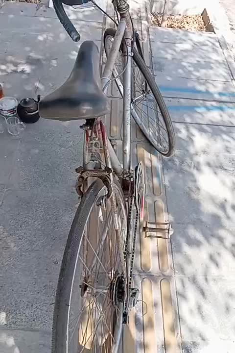 دوچرخه کورسی|دوچرخه، اسکیت، اسکوتر|کاشمر, |دیوار