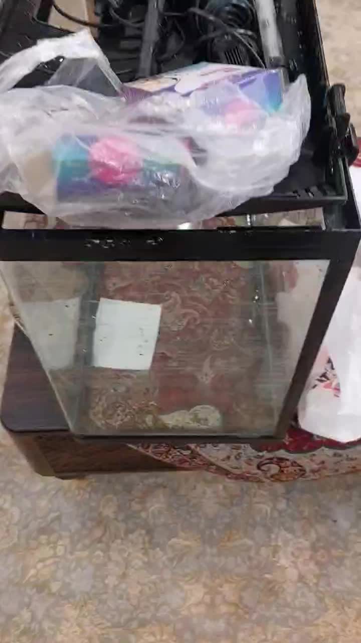 آکواریوم ۳۰*۴۰*۶۰ شیشه خم|ماهی|شاهینشهر, مخابرات (شهید بهشتی)|دیوار