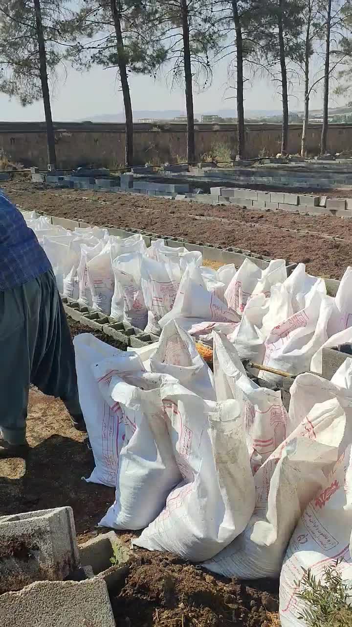 کرم کشاورزی|خدمات باغبانی و درختکاری|شیراز, گود خزینه|دیوار