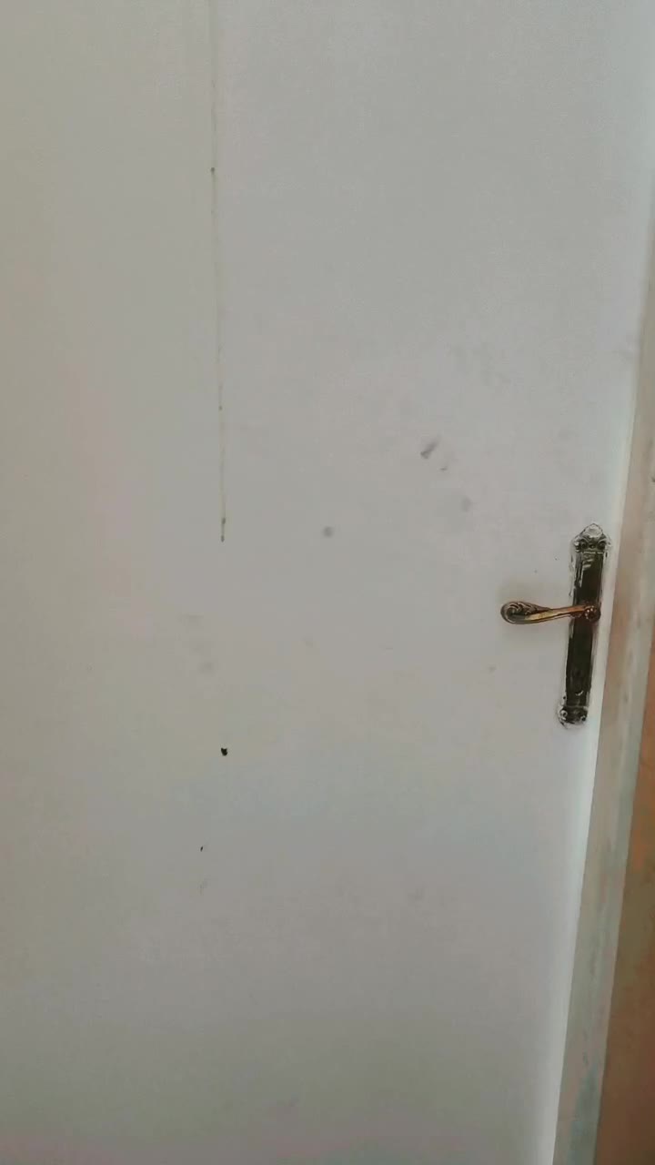 چرخکار و ساده کار خانم + آموزش خیاطی|استخدام صنعتی، فنی، مهندسی|تبریز, |دیوار