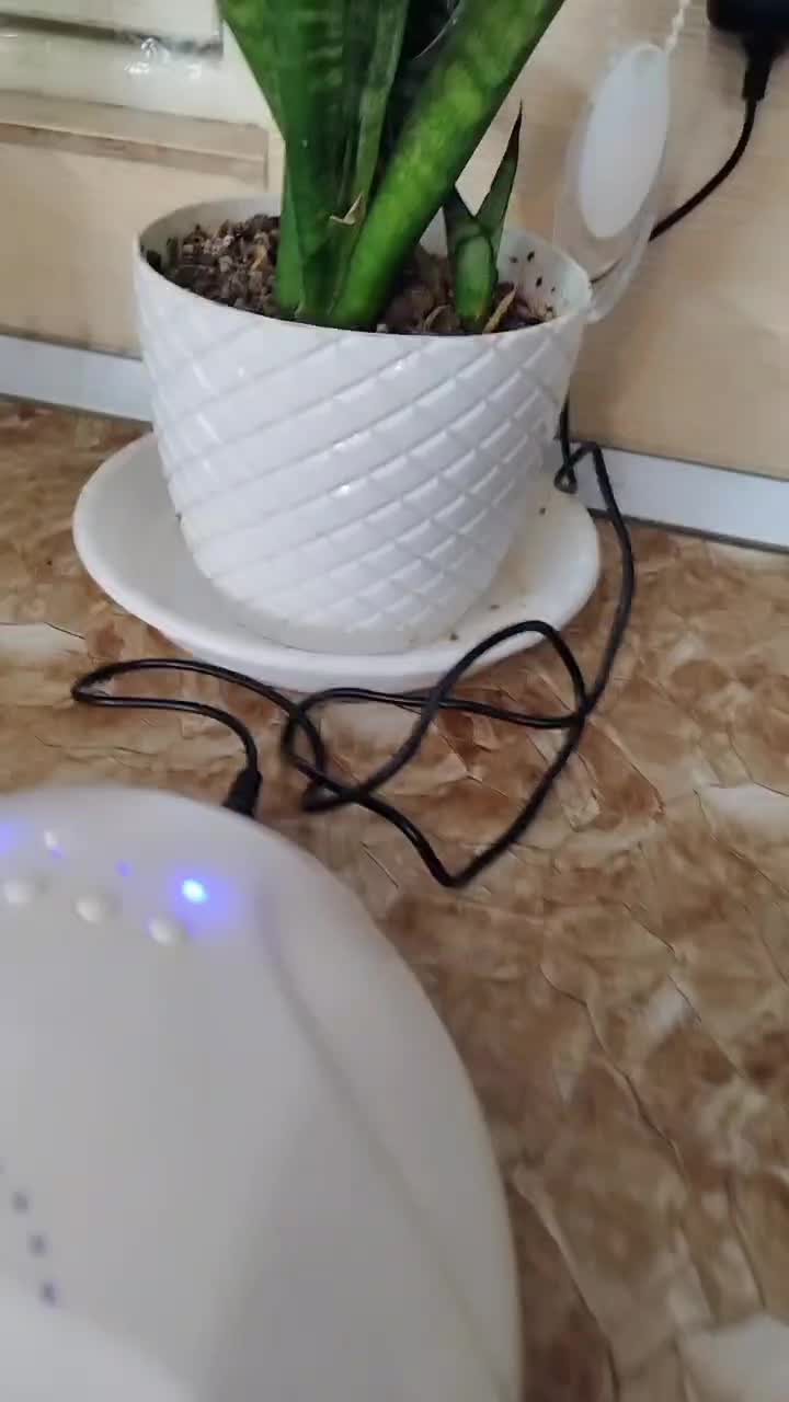 یووی درحد نو sun|آرایشی، بهداشتی، درمانی|سمنان, |دیوار