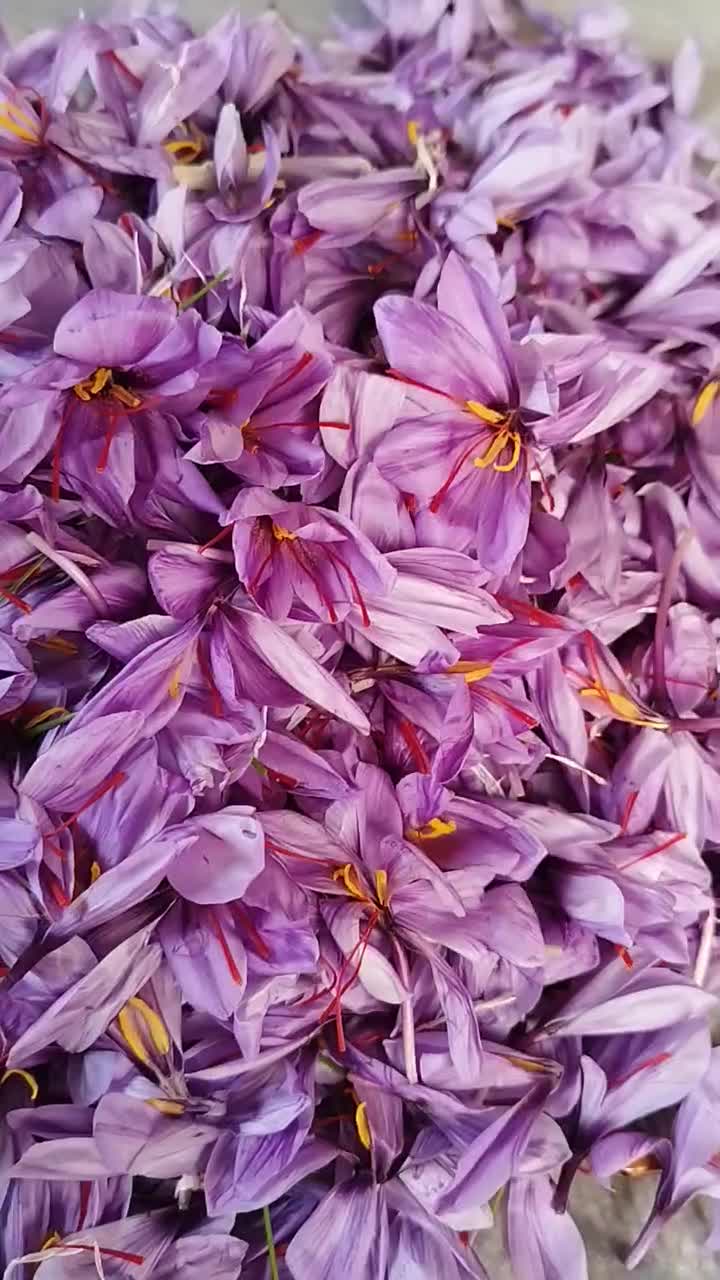 فروش زعفران|خوردنی و آشامیدنی|تهران, ایرانشهر|دیوار