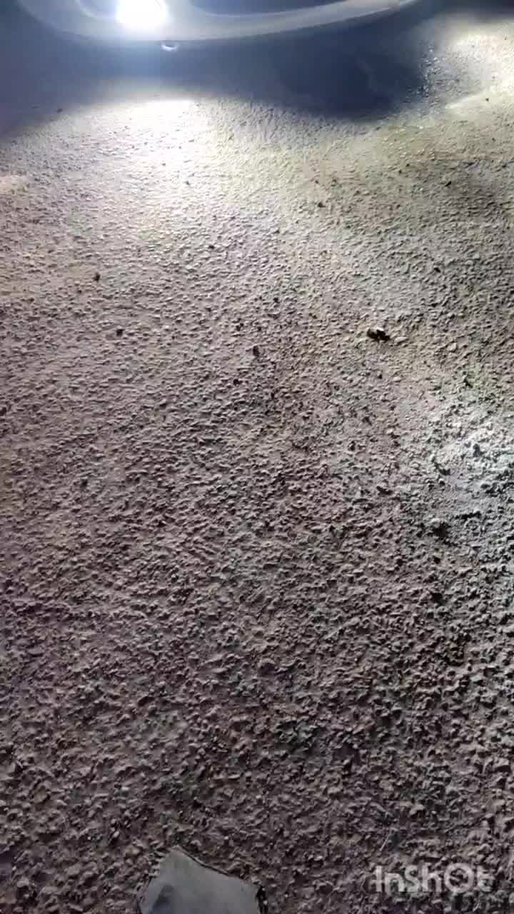 پارس خشک|خودرو سواری و وانت|الشتر, |دیوار