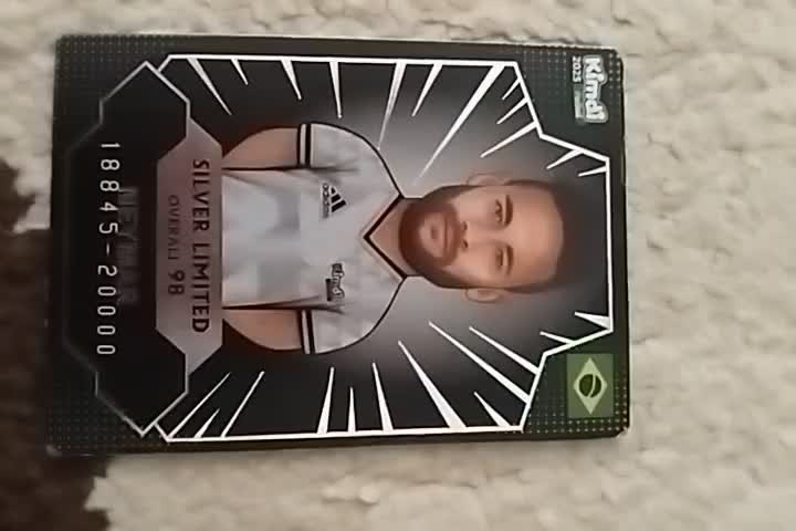 سیلور نیمار|اسباببازی|جغتای, |دیوار