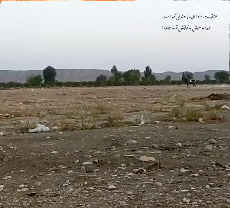 اسب دره شو|اسب و تجهیزات اسبسواری|فسا, |دیوار