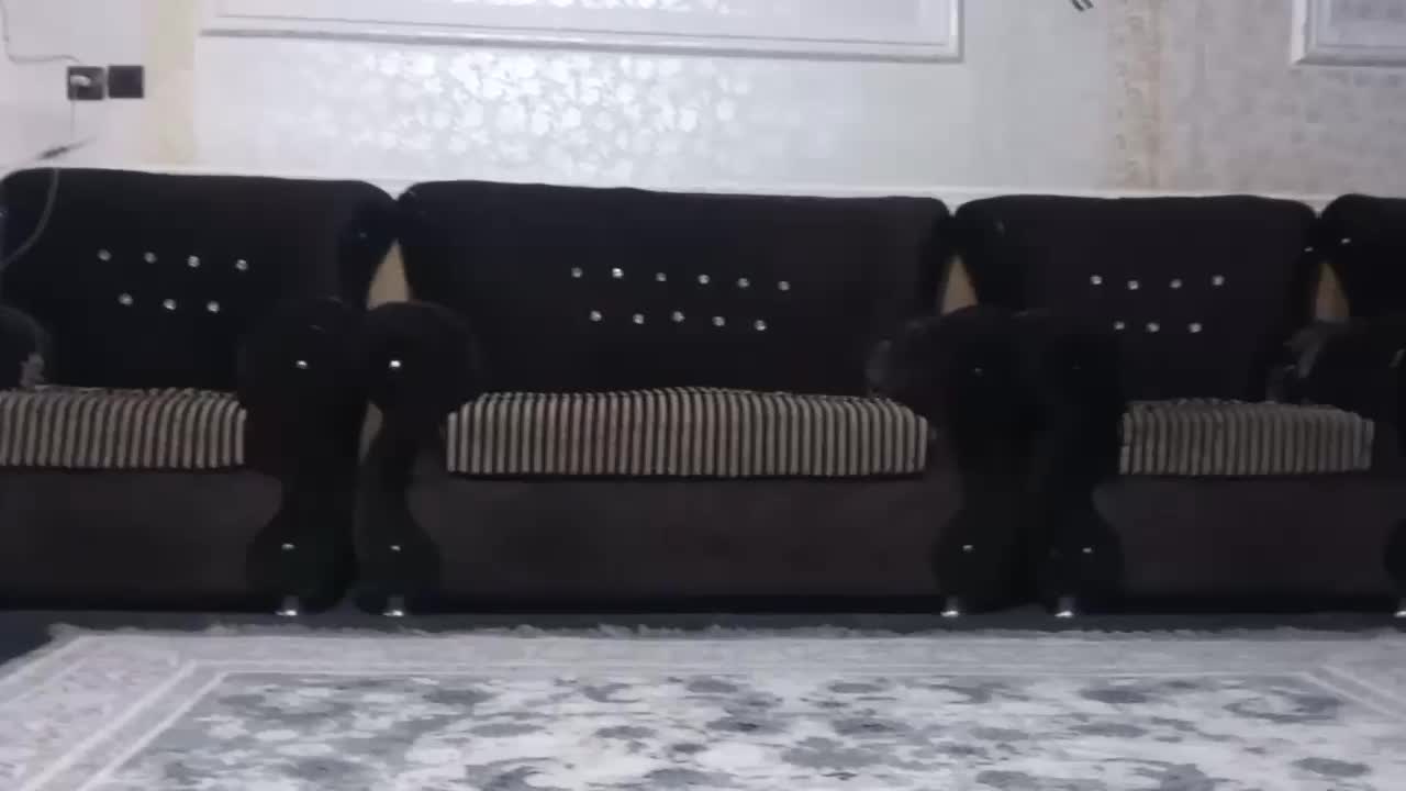 مبل صالح|مبلمان خانگی و میز عسلی|فاضل آباد, |دیوار