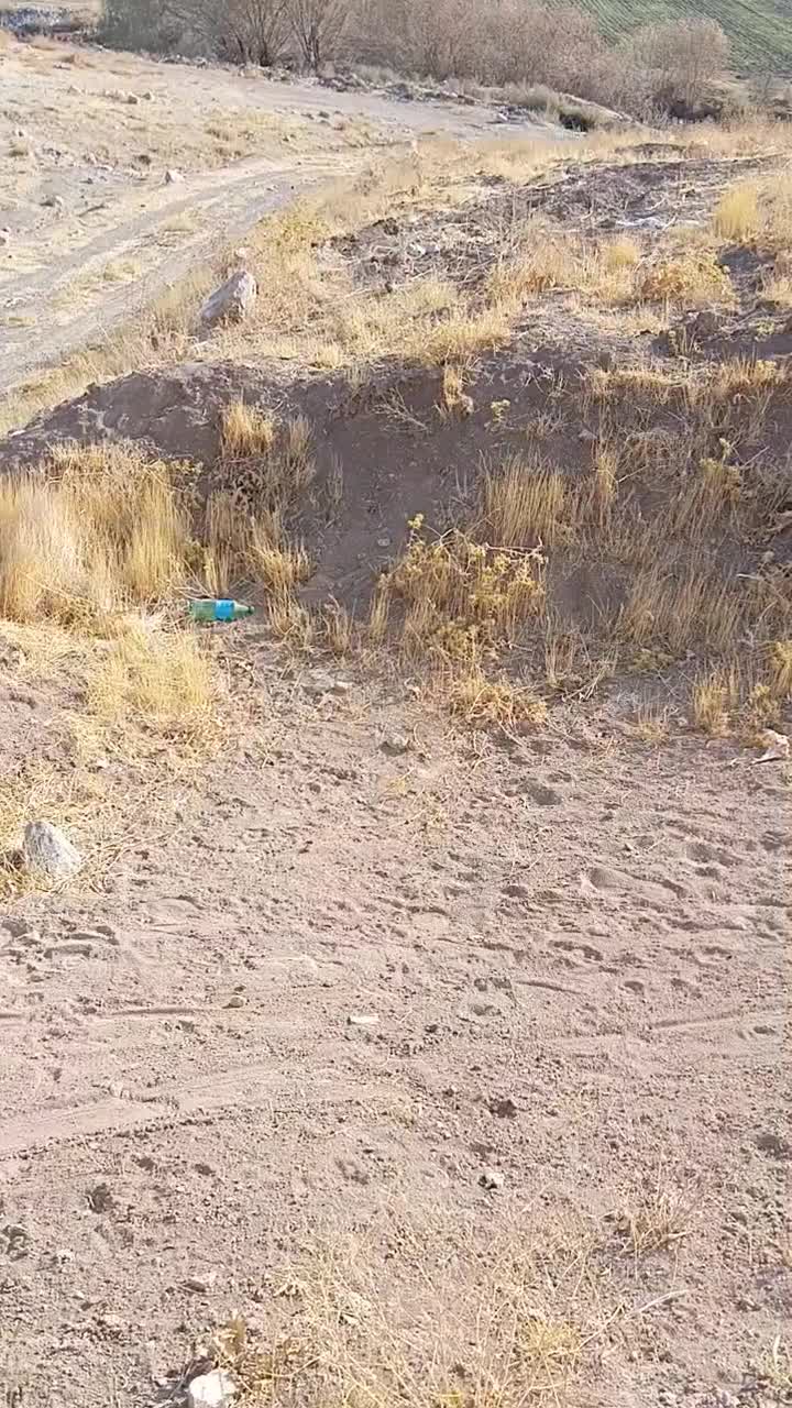 یک باغ به مساحت 0.75 کیلومتر|فروش زمین و ملک کلنگی|نورآباد, |دیوار