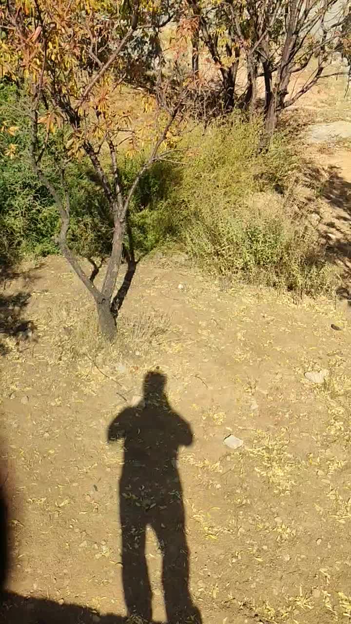 زمین مسکونی|فروش زمین و ملک کلنگی|دشمن زیاری, |دیوار