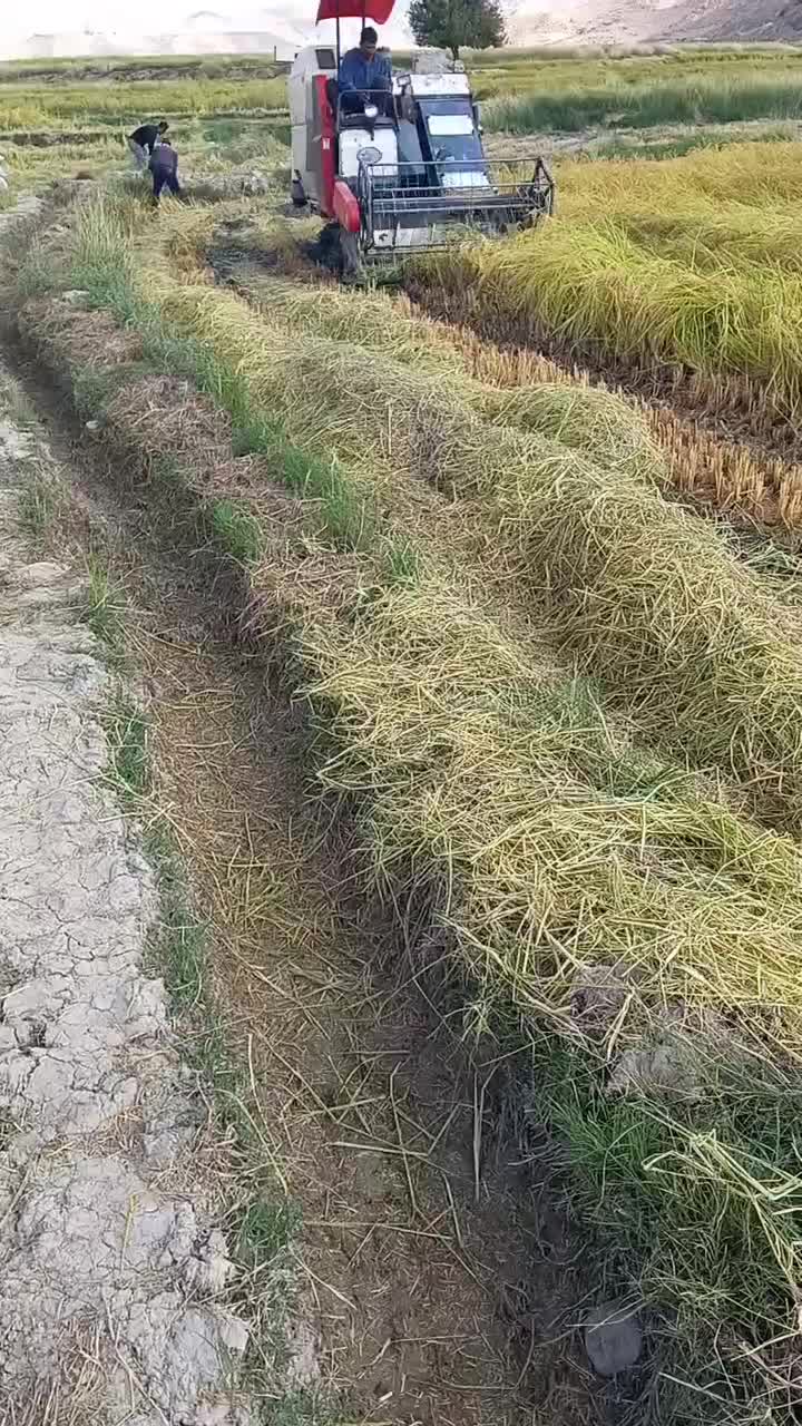 کمباین زنجیری سوزکی ۲۰۱۷|خودرو سنگین|باغ ملک, |دیوار
