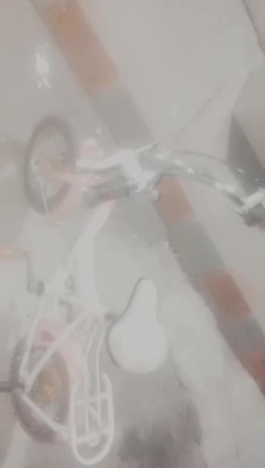 دوچرخه|دوچرخه، اسکیت، اسکوتر|تبریز, |دیوار