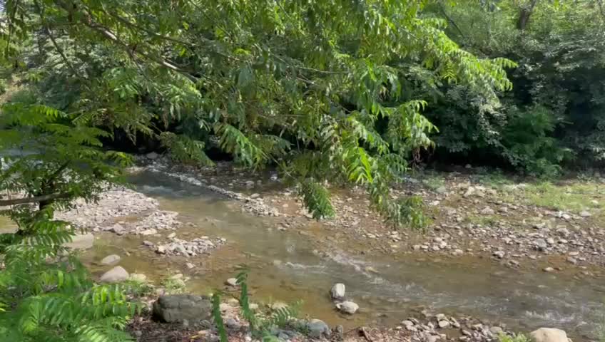 کلبه جنگلی کنار رودخانه|اجارهٔ کوتاهمدت ویلا و باغ|ماسال, |دیوار