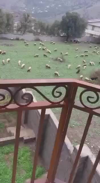 فروش یا معاوضه زمین ۲۰۰ متری|فروش زمین و ملک کلنگی|رودبار, |دیوار