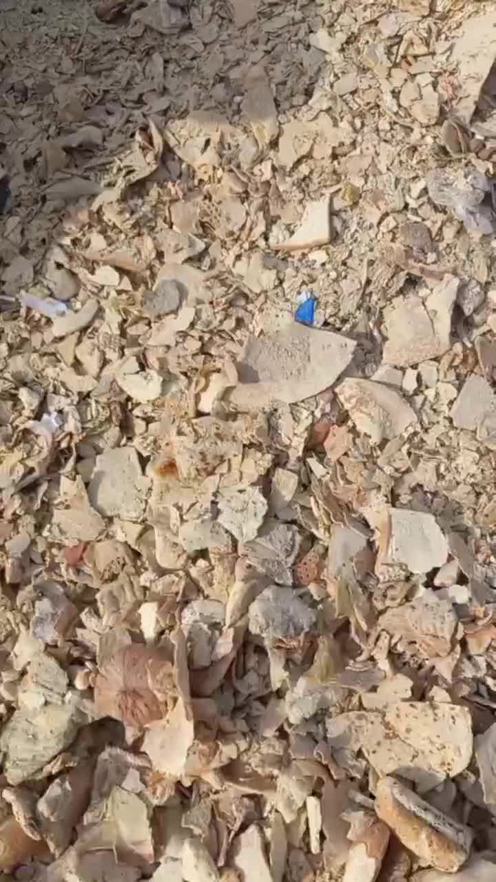 نان خشک|عمدهفروشی|گناباد, |دیوار