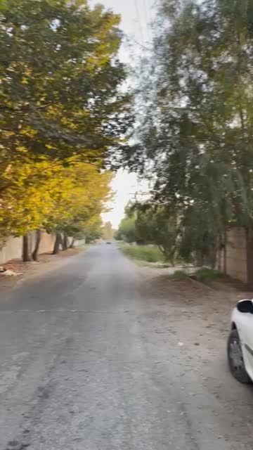 ۴۰۰مترویلاکردان تهراندشت سرخاب باغچه زمین باغ ویلا|فروش خانه و ویلا|کرج, فاز ۲ مهرشهر|دیوار