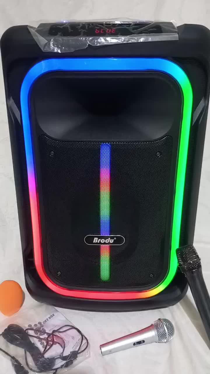 اسپیکر بزرگ بلوتوثی چرخ دار وردسته دار15اینچ برودو|سیستم صوتی خانگی|کلاله, |دیوار