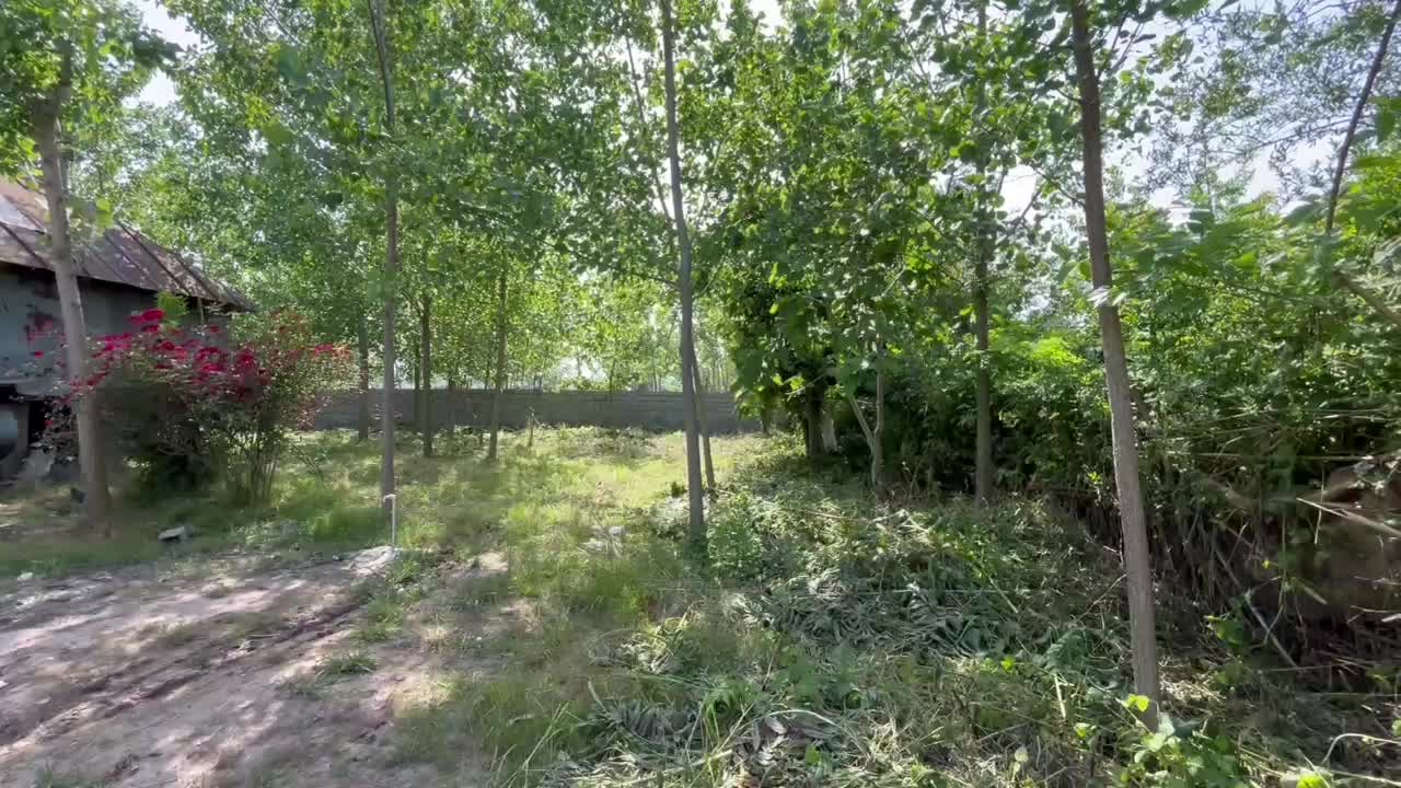 زمین۲۹۴مترمسکونی/پروانه ساخت ۹۹متری/صفرابسته|فروش زمین و ملک کلنگی|آستانه اشرفیه, |دیوار