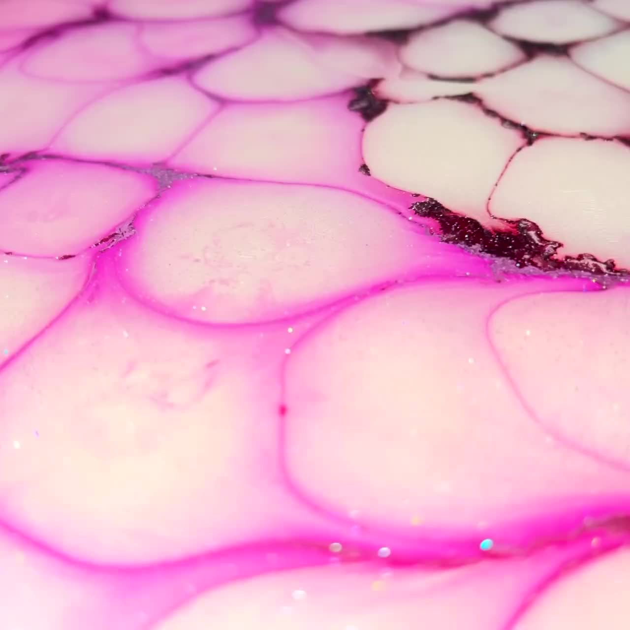 سینی|ظروف سرو و پذیرایی|رشت, پارک شهر|دیوار